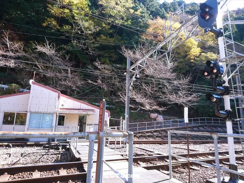 ゆるキャン聖地巡礼｜アプトいちしろキャンプ場（コミック11巻60~61話）