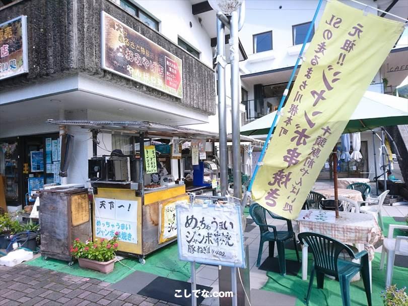 ゆるキャン聖地巡礼｜コミック10巻・11巻の大井川編モデル地まとめ