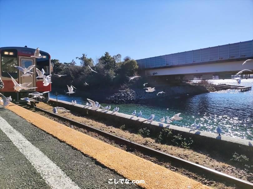 ゆるキャン聖地巡礼｜静岡県西部地域・浜松・磐田・掛川周辺のモデル地まとめ