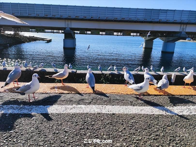 ゆるキャン聖地巡礼｜静岡県西部地域・浜松・磐田・掛川周辺のモデル地まとめ