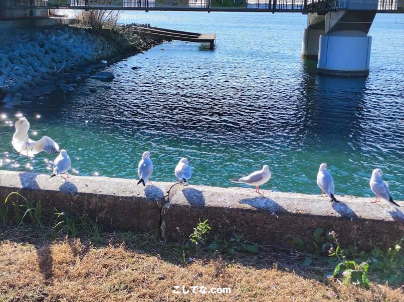 ゆるキャン聖地巡礼｜静岡県西部地域・浜松・磐田・掛川周辺のモデル地まとめ